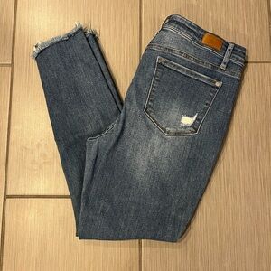 Judy Blue Skinny Distressed Jeans